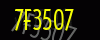 security_code