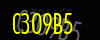 security_code