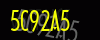 security_code