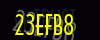 security_code