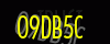 security_code