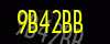 security_code
