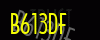 security_code