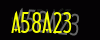 security_code