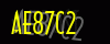 security_code