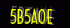security_code