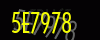 security_code
