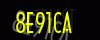 security_code