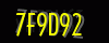 security_code