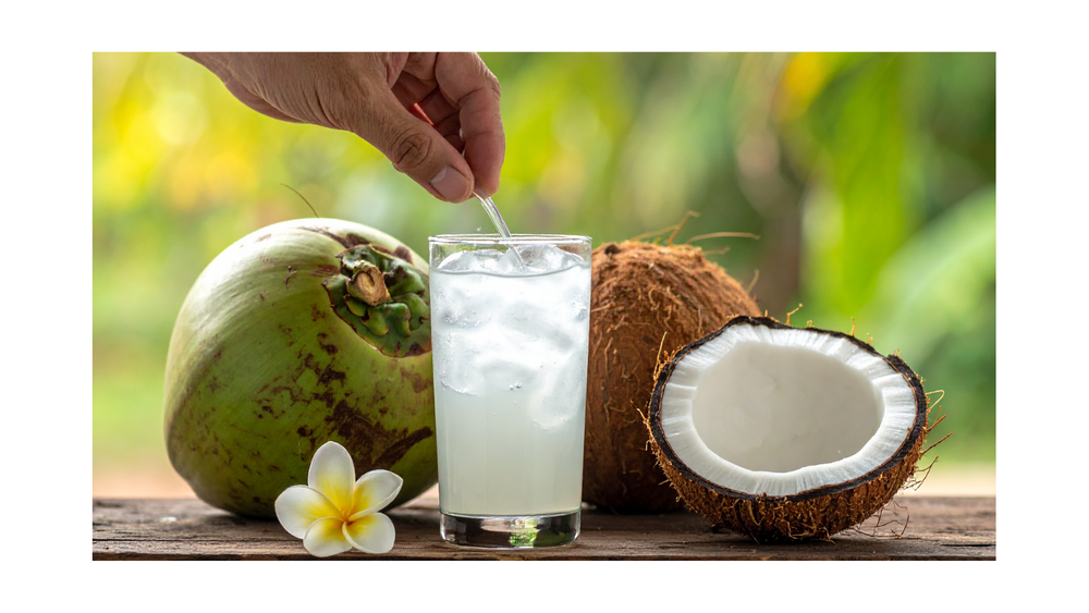 THE SWEETNESS OF VIETNAMESE COCONUTS AND THEIR ROLE IN EXPORT PROCESSING