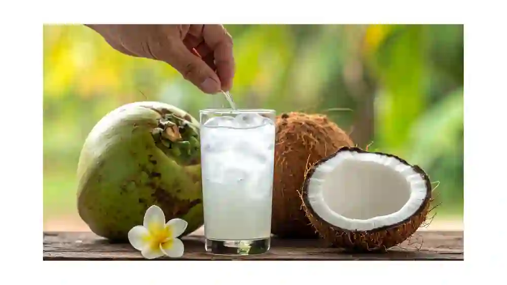 ĐỘ NGỌT CỦA DỪA VIỆT NAM VÀ VAI TRÒ TRONG CHẾ BIẾN XUẤT KHẨU