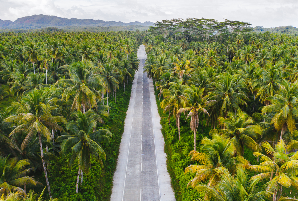 GIÁ NƯỚC DỪA TẠI CÁC QUỐC GIA ĐÔNG NAM Á