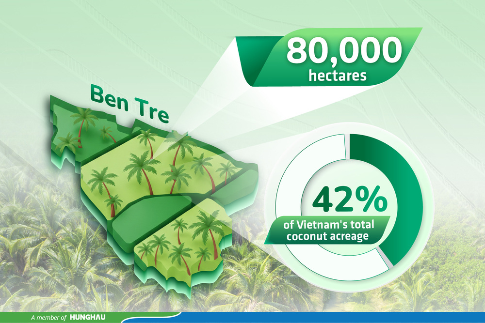 WHY DOES COMOON CHOOSE COCONUT RAW MATERIAL SOURCING FROM BEN TRE, VIETNAM?