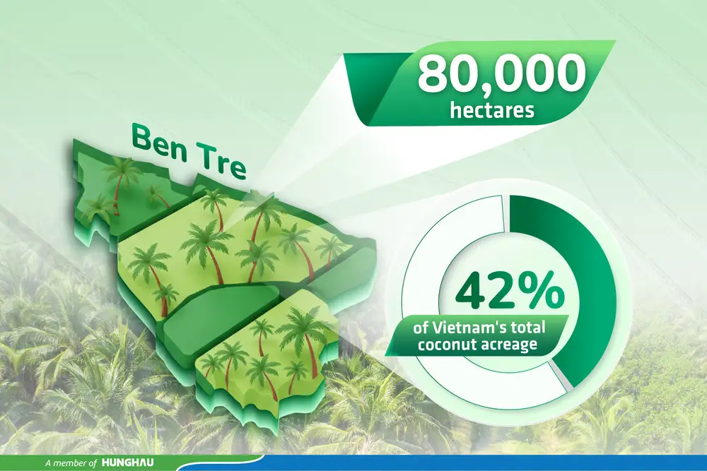 WHY DOES COMOON CHOOSE COCONUT RAW MATERIAL SOURCING FROM BEN TRE, VIETNAM?