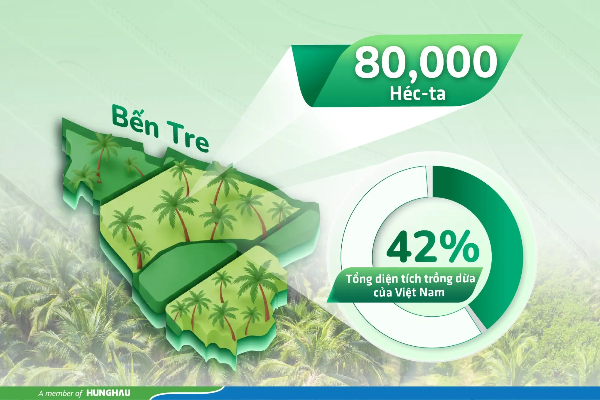 VÌ SAO COMOON LỰA CHỌN VÙNG NGUYÊN LIỆU DỪA TẠI BẾN TRE, VIỆT NAM?