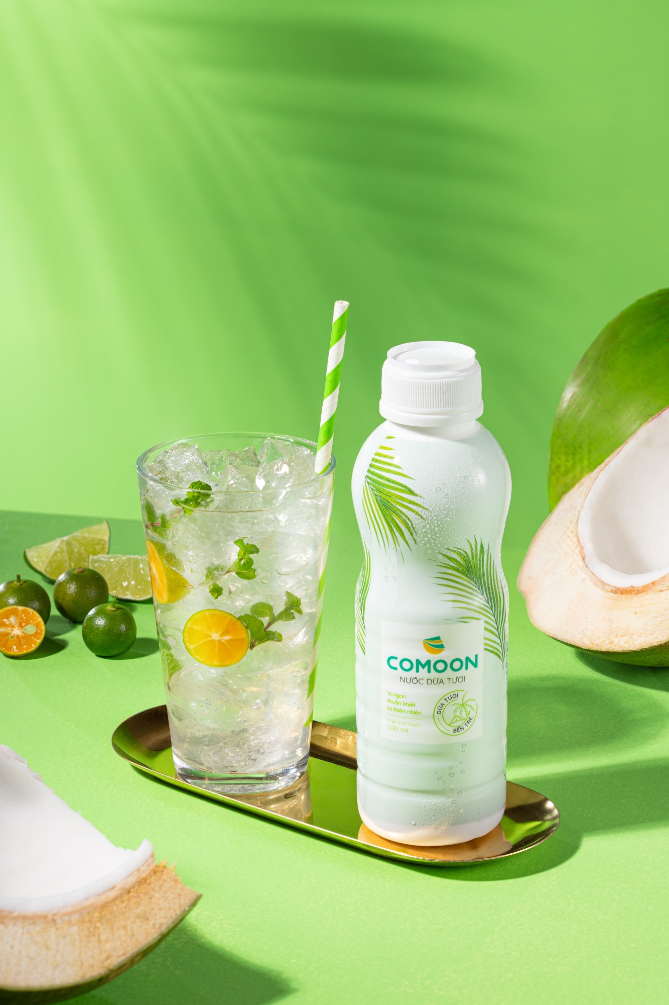 NƯỚC DỪA ĐÓNG CHAI COMOON: NÂNG TẦM DỪA TƯƠI XUẤT KHẨU TRÊN HÀNH TRÌNH VƯƠN RA THẾ GIỚI