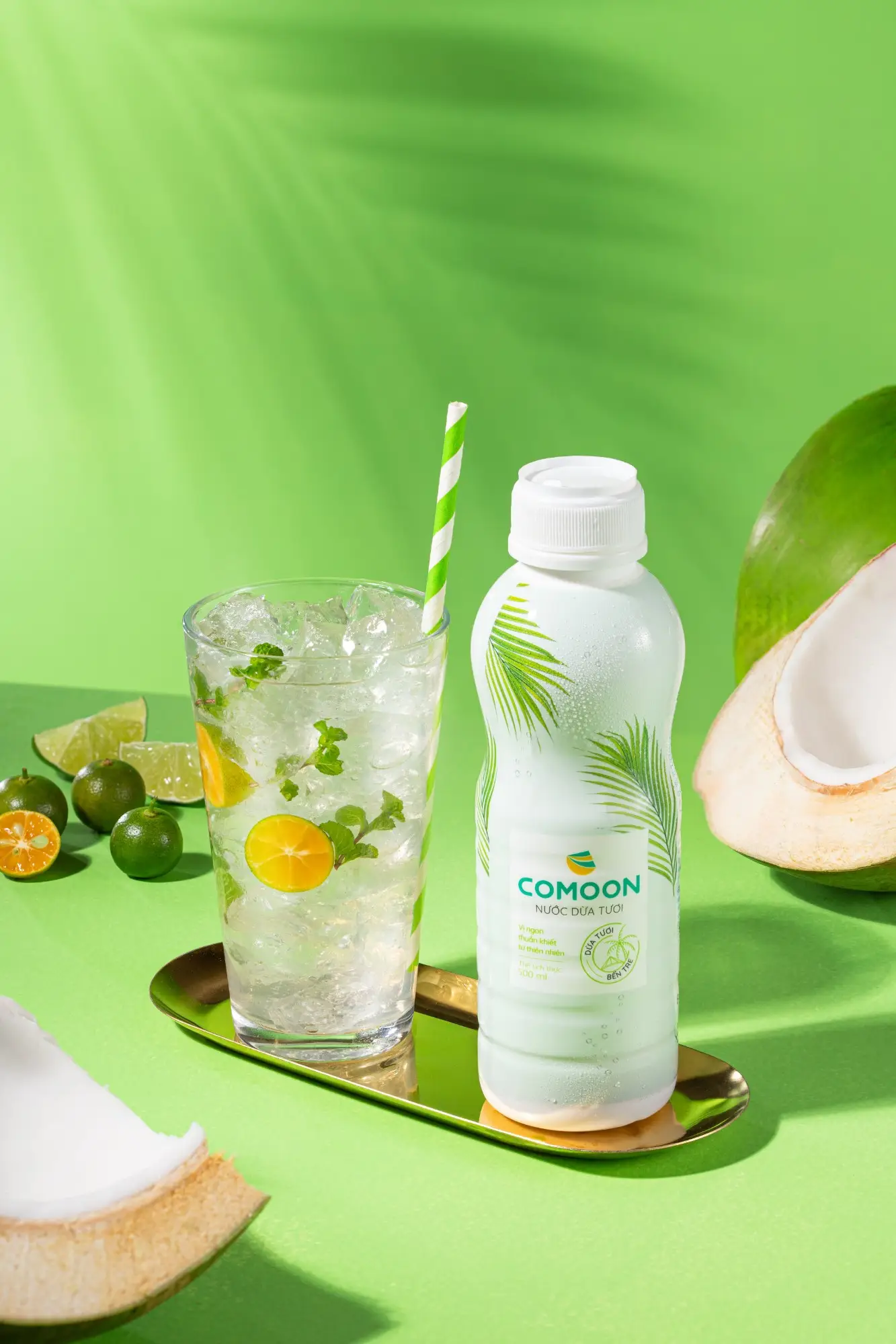 NƯỚC DỪA ĐÓNG CHAI COMOON: NÂNG TẦM DỪA TƯƠI XUẤT KHẨU TRÊN HÀNH TRÌNH VƯƠN RA THẾ GIỚI