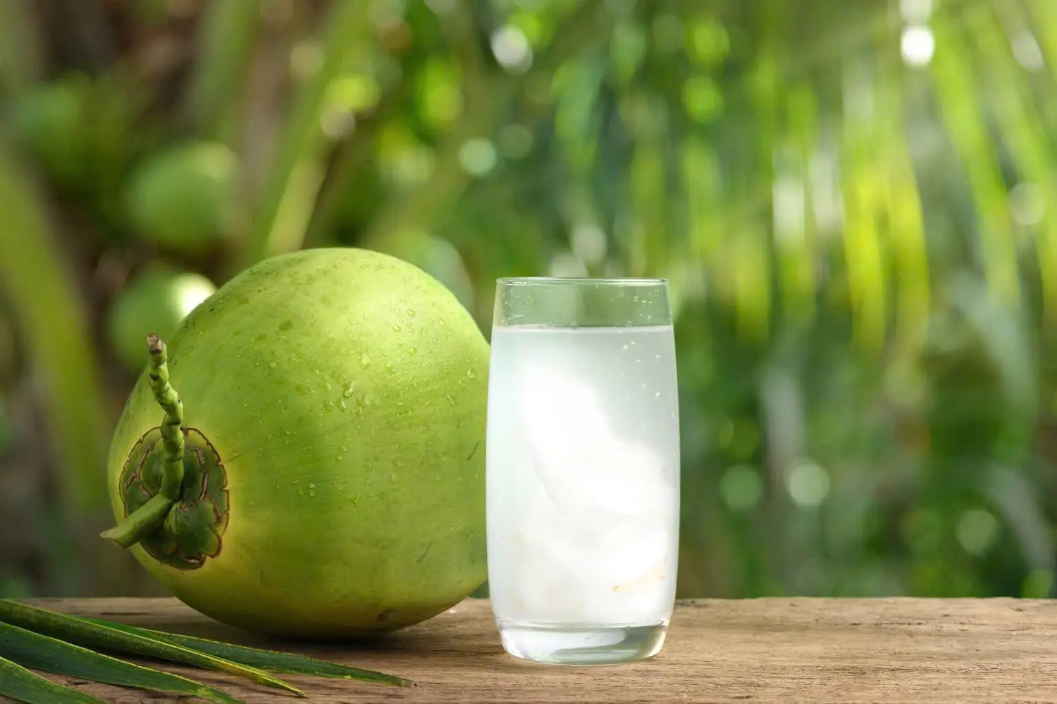 NƯỚC DỪA ĐÔNG LẠNH LÀ GÌ? ĐẶC ĐIỂM, TIÊU CHUẨN VÀ ỨNG DỤNG
