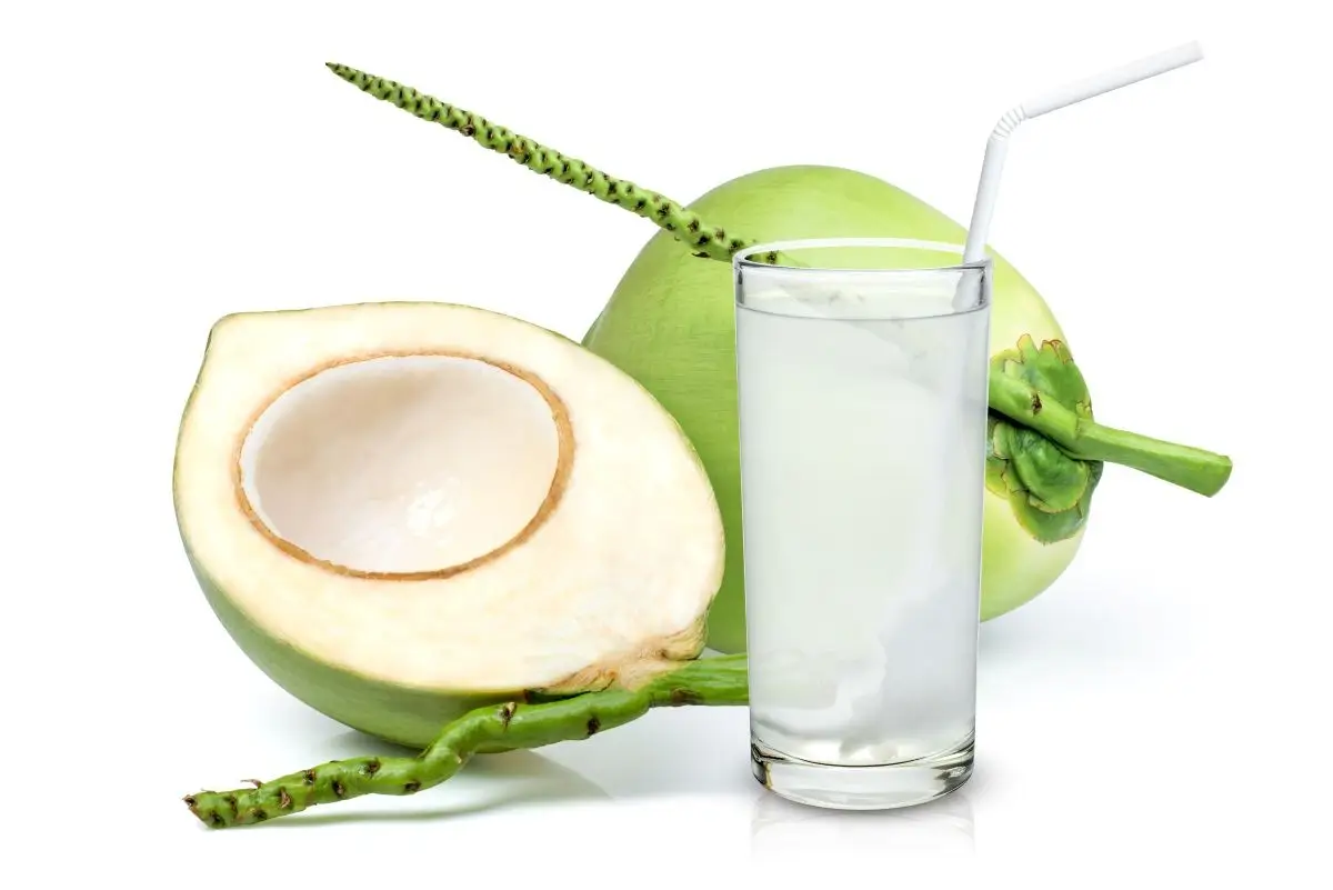 UỐNG NƯỚC DỪA ĐÚNG CÁCH: LỢI ÍCH SỨC KHỎE, LƯU Ý QUAN TRỌNG VÀ BÍ QUYẾT BẢO QUẢN