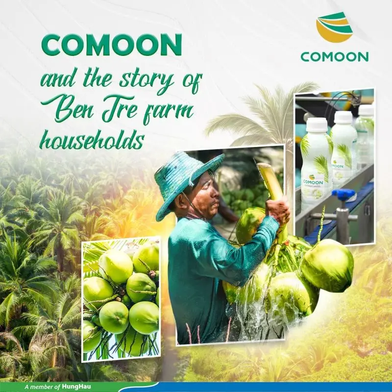 CHỌN NHÀ CUNG CẤP NƯỚC DỪA THÔNG QUA: VÙNG NGUYÊN LIỆU, GIÁ THÀNH VÀ ĐỘ UY TÍN