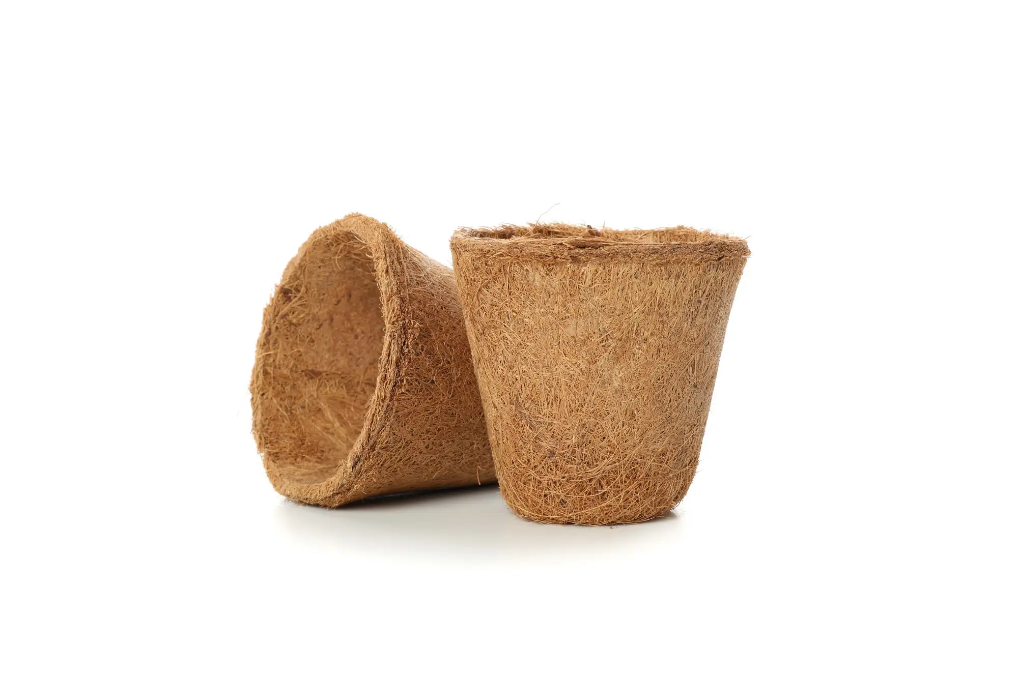 FLOWERPOT