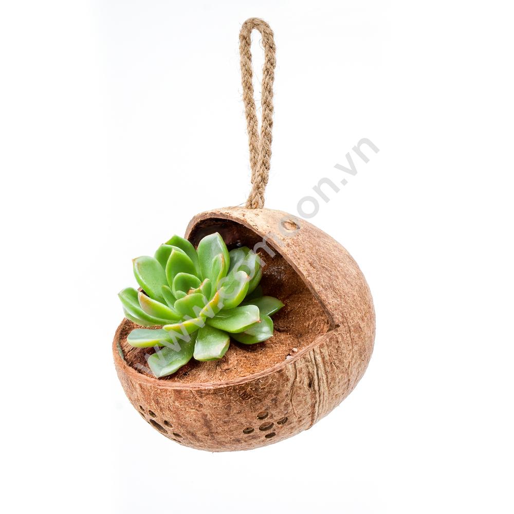 COMOON HANGING COCONUT PLANTER