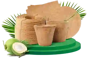 Sản Phẩm Nông Nghiệp Từ Dừa